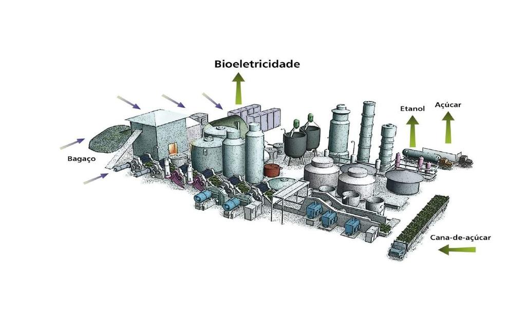 Geração da biomassa em 2014 O setor sucroenergético brasileiro e o papel da bioeletricidade