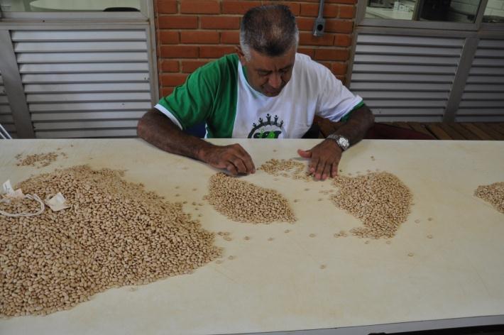 Experimentos ou ensaios são pesquisas planejadas, que seguem determinados princípios básicos, com