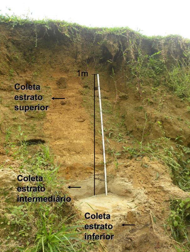 Figura 3 Pontos de amostragem do perfil 1 Fonte: Os autores O perfil do rio Pirabeiraba correspondente ao ponto de coleta do conjunto amostral 2, possui aproximadamente 5 metros de altura.