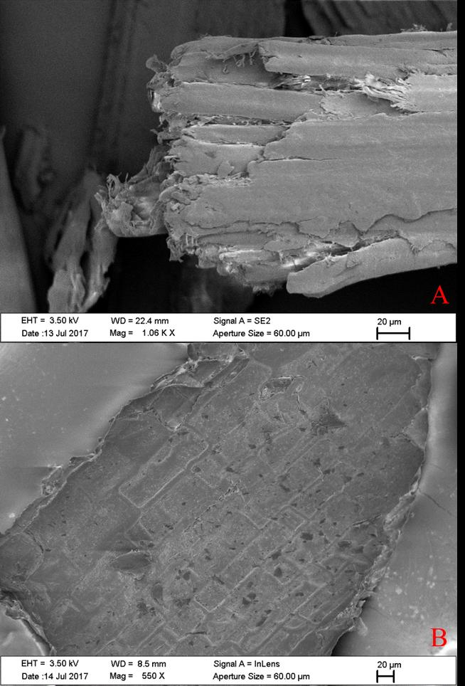 Figura 4 Micrografia eletrônica de varredura do bagaço de cana-de-açúcar in natura.