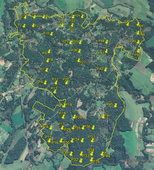 Análise de agrupamento florístico de Floristic cluster analysis in Análisis del agrupamiento florístico del p.