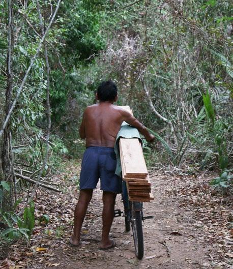 proteção de rios para geração hidrelétrica (R$ 23,6 bi-lhões anuais), usos consuntivos (R$ 28,4 bilhões anuais) e erosão evitada (R$ 7,8 bilhões anuais).