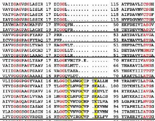 de 2 dinucleotídeos tdbdf Nucleotideode piramidina FAD