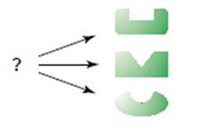 A variabilidade enzimática pode estar envolvida com diferentes funções, porém como as vias são organizadas para novas respostas?