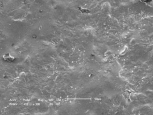 6. Resultados e discussão 115 Porosidade Aberta Figura 6.56 Micrografia por MEV da superfície do corpo-de-prova a partir da formulação 2 com adição de 30% de chamote, sinterizado a 1250ºC.