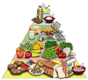 O que os alimentos contêm? Os alimentos que ingerimos geralmente são formados por uma mistura de substâncias.