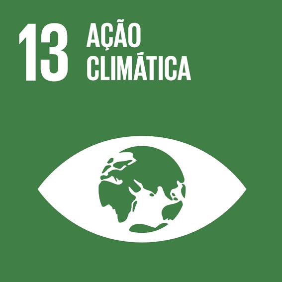 Objetivo 13 Tomar medidas urgentes para combater a mudança do clima e seus impactos * 13.