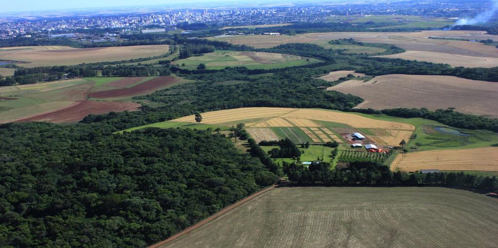 Estação Experimental SEEDS Passo Fundo/RS Pesquisa: base da geração do conhecimento 10 anos = investimento de R$ 5