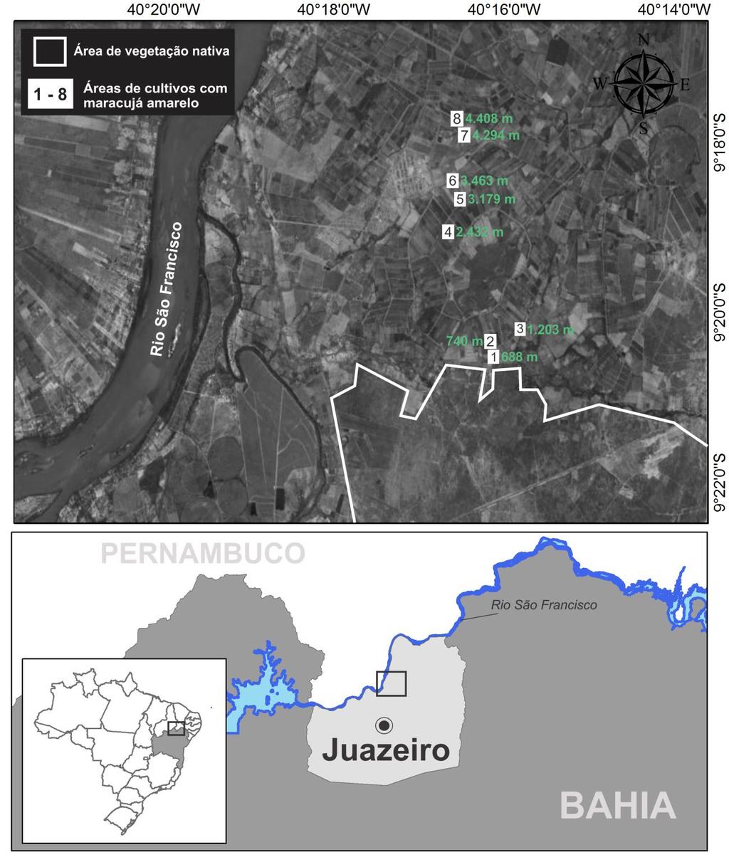 59 FIGURA 2- Localização das oito áreas de estudo com cultivos de maracujá-amarelo