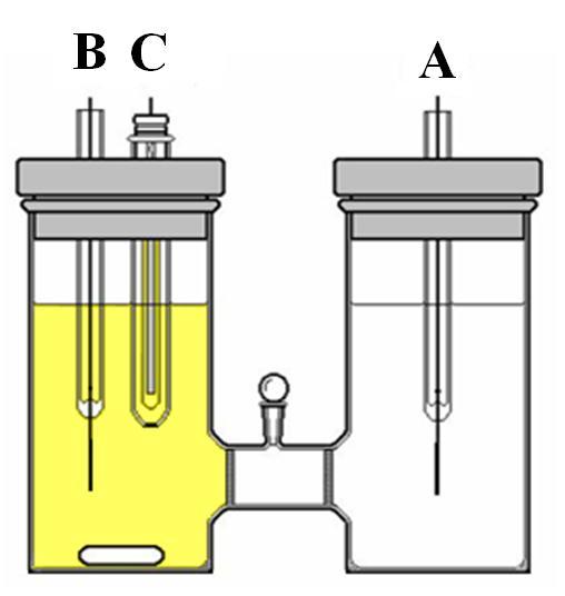 Nos experimentos de eletrólise a potencial controlado, foi utilizada uma célula eletroquímica como mostrada na Figura 6, com dois compartimentos de capacidade de 40 ml, sendo um deles para o