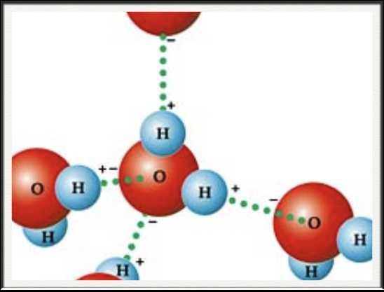 Biologia Molecular - I