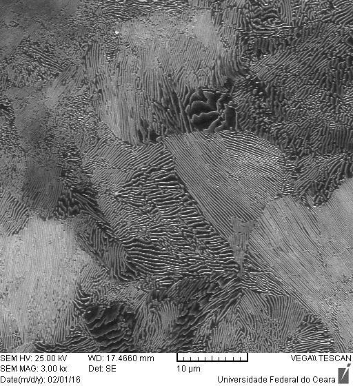 A figura 2 apresenta a micrografia realizada pelo Microscópio Óptico da amostra Como Recebida após a preparação metalográfica e ataque com nital 2% por aproximadamente 5 segundos. Figura 2.