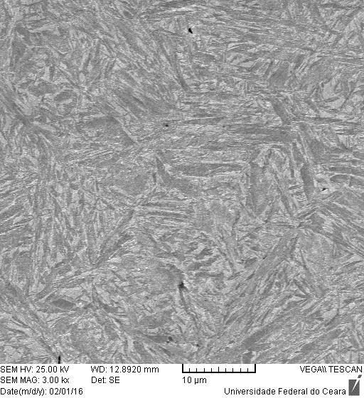 segundo. Figura 12. Micrografia da amostra Temperada após ataque químico com nital 2%. a) Aumento de 30