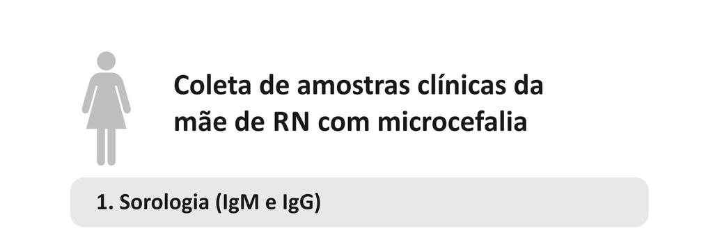 Quadro 3 Coleta de amostras clínicas da mãe do recém-nascido com microcefalia e.