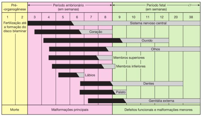 Deformidade: Uma estrutura deformada intrauterina, que originariamente (geneticamente) estava definida para se desenvolver normalmente e cujo processo de desenvolvimento foi alterado por agentes