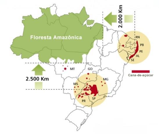 19 2015e). A plantação de cana-de-açúcar destinada à atividade sucroalcooleira está estimada em 8.810,79 mil hectares, distribuídos em todos os estados produtores do Brasil.