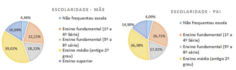 É possível por meio dos dados acima inferir que 79,46% das mães e 81,01% dos pais, dos estudantes matriculados na FESVV, cursaram a educação básica.