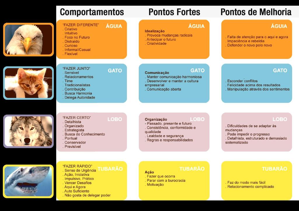 CONEXÃO PDQ PROF.