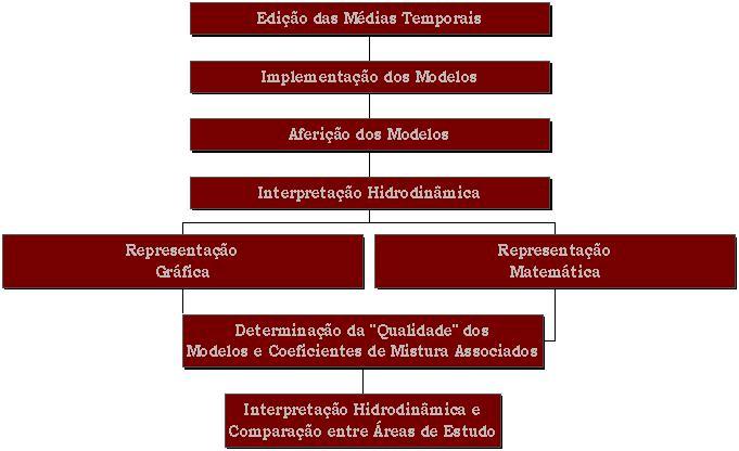 - DADOS EXPERIMENTAIS E TRATAMENTO NUMÉRICO Como citado no Capítulo 1, um dos objetivos deste trabalho é aferir modelos analíticos estacionários, uni e bidimensionais, cujas incógnitas são o