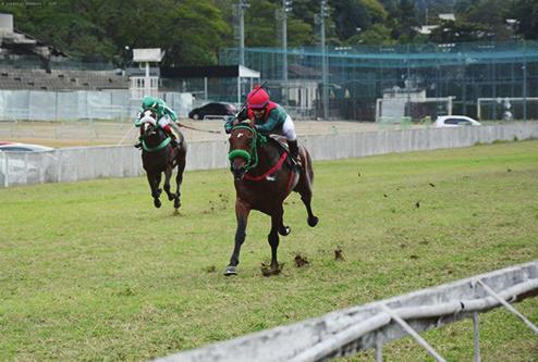 Approval e Club Med, por Reve Dore P-Mary Jane Stud C-Phillipson T-A. Magalhães Filho J-Rudinick Viana 4-2-0-0 2-Miracle Mile, m, 3, Setembro Chove e Carly, por Crimson Tide (Ire) P/C-Chesapeake T-A.