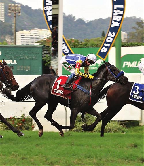 GRANDE PRÊMIO MARGARIDA POLAK LARA, G1 1600m - Grama Potrancas de 3 anos 1 39 710 1- R$ 96.219,93 2- R$ 28.865,98 3- R$ 19.