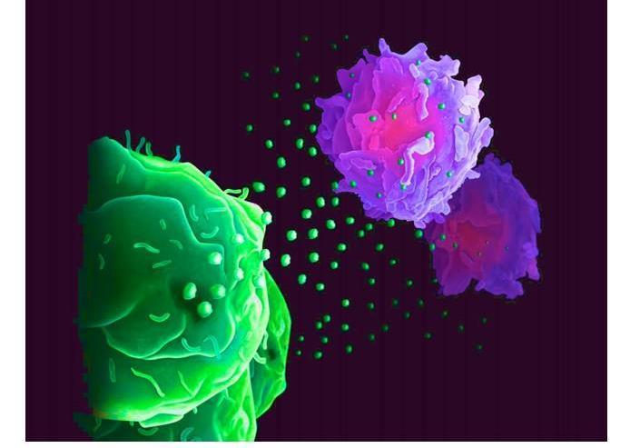 Por suas complexidades biológicas e médicas é a doença mais intrinsicamente conhecida entre todas as outras.