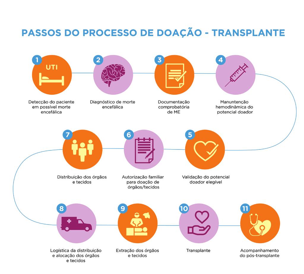 VIII. PROCESSO DE NOTIFICAÇÃO/ DOAÇÃO DE POTENCIAL DOADOR O processo de doação e transplante é definido como um conjunto de ações que possibilita transformar um