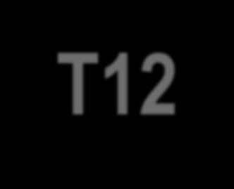 3T12: Crescendo com Sustentabilidade Crescimento de 43% do EBITDA, com ganho de margem de 3,0 p.