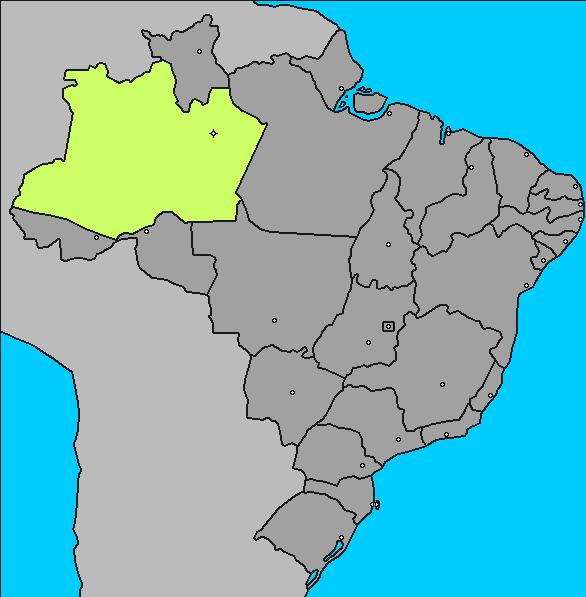 Nascimento et al. (2018) Revista Brasileira de Engenharia de Pesca Manaus Amazonas Panair Fonte: Google Earth (2018). Figura 1. Mapa da área de estudo: estado do Amazonas e Manaus.