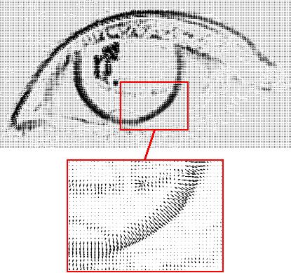 28 Figura 8 Gradientes em uma imagem de um olho. Os gradientes de uma imagem I são dados pela equação ( I(xi,y i ) g i =, I(x ) i,y i ) T, i {1,...,N}, x i y i onde N é o número de pixels da imagem.