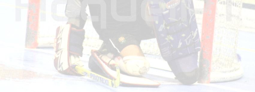 Como viram a evolução ao longo dos tempos? Estão os GR s demasiadamente protegidos ao nível do equipamento? 5. O que é mais importante ser treinado num GR de hóquei em patins? 6.