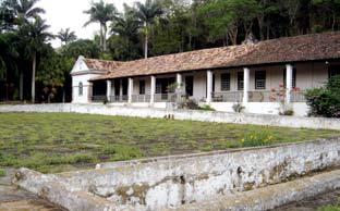 Pereira de