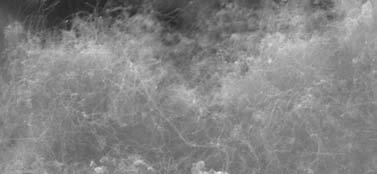 FIGURA. 57. Imagens de microscopia eletrônica de varredura dos NCs crescidos sobre o sistema FeMo 4,00 imp, com aumentos de 25.000 e 100.