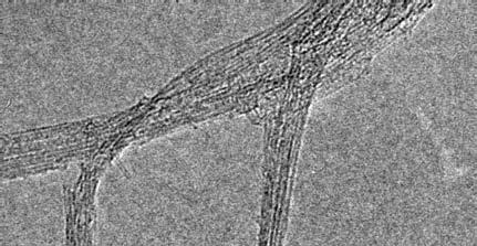 As imagens dos nanotubos crescidos