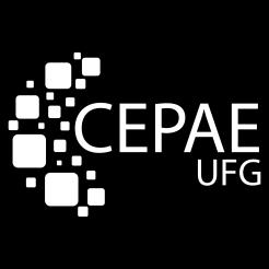 Os candidatos selecionados irão desenvolver atividades relacionadas à prática pedagógica na Educação Infantil no Departamento de Educação Infantil do CEPAE/UFG, conforme Projeto Político Pedagógico