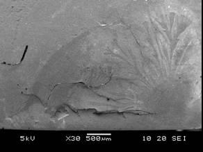 97 Figura 33 - Micrografia da superfície de fratura de outro corpo-de-prova de PMMA não-irradiado, ensaiado por tração, sob etanol, na velocidade de alongamento de 0,2 mm/min. 4.1.