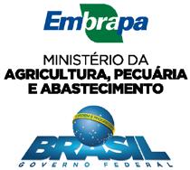 8 BRS A702 CL: Nova Cultivar de Arroz Irrigado de Ciclo Curto com Tolerância à Herbicida Comunicado Técnico, 238 Exemplares desta edição podem ser adquiridos na: Embrapa Arroz e Feijão Endereço: Rod.