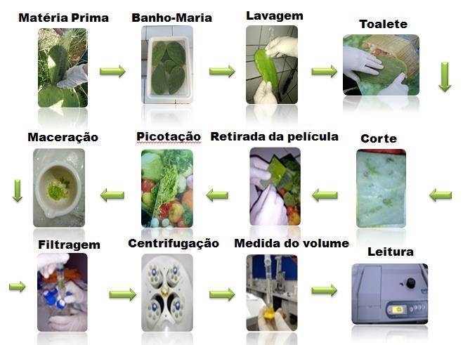 adicionado o extrato da amostra, água e Folin Ciocalteau, que foram agitados e depois de 3 minutos adicionados o carbonato de sódio a 20%.