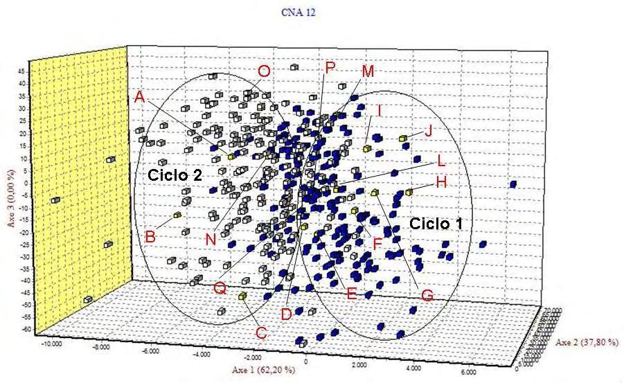 57 Na distribuição espacial dos diferentes ciclos da CNA-IRAT 4 pode-se notar a existência de um grupo de genótipos que compartilha a área central como uma interseção entre os diferentes ciclos, ou