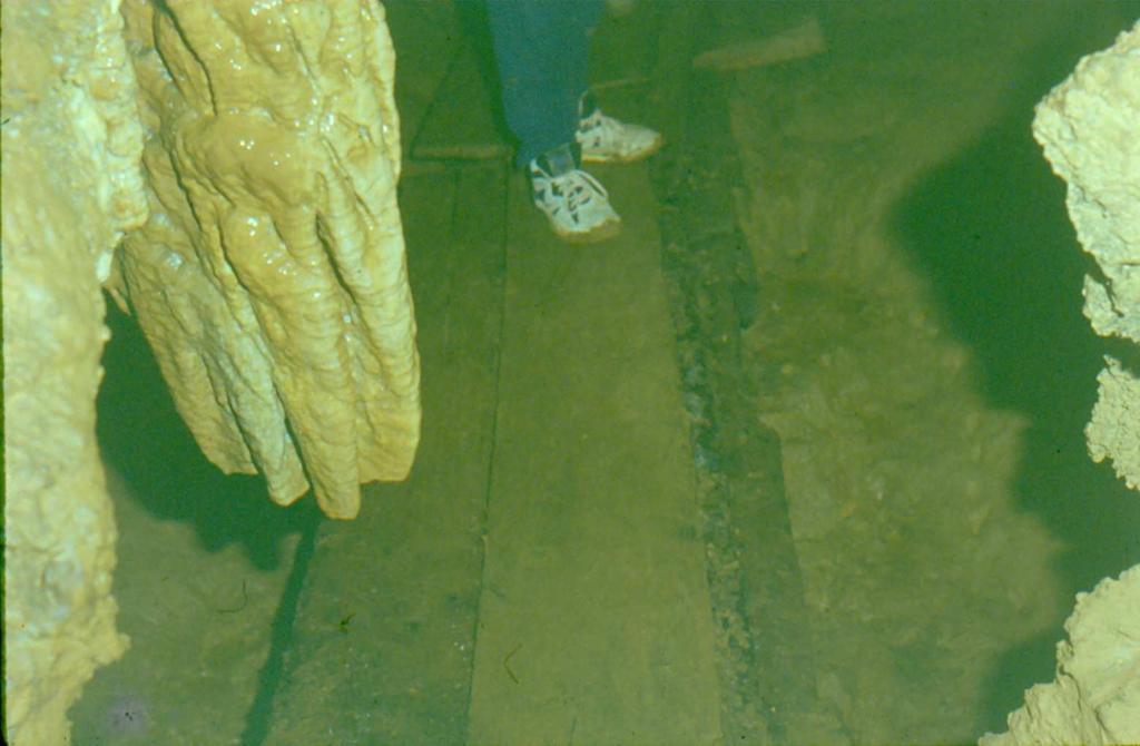 madeira no circuito turístico da Gruta dos Jesuítas Fonte: Zakrzewski - 1992 Escala Gráfica 0 20 40 60m