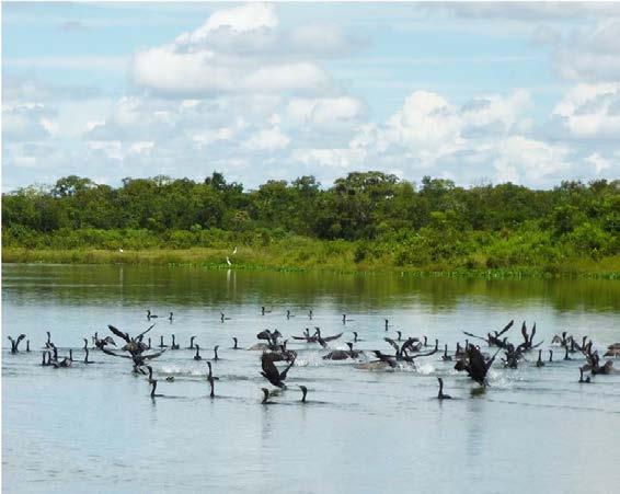 Fatores que influenciam a produtividade global de uma piscicultura Fatores relacionados às características da atividade, à condição da infraestrutura, ao planejamento da produção e capacitação do