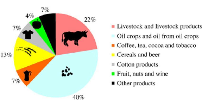 SEMIÁRIDO PRODUÇÃO DE CARNE E DE