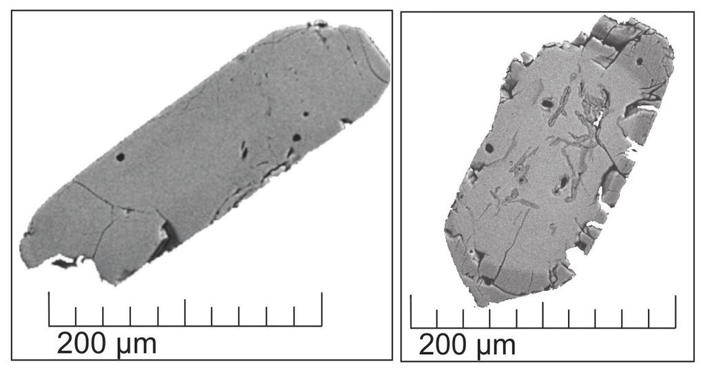 Petrologia do Granito Aragão Complexo Cuiú-Cuiú) é de 1995 ± 5 Ma, (MSWD = 0,78; n = 9) (Figura 4C), enquanto a amostra SD20 (fácies equigranular média foliada, Complexo Cuiú-Cuiú) tem idade de 2009