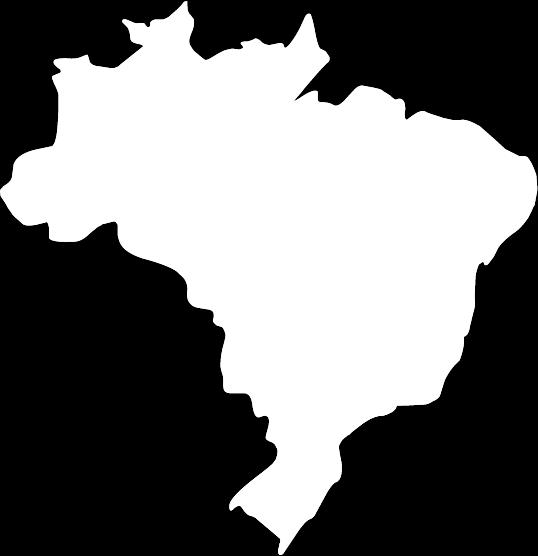 Em Março/09 a Usiminas adquiriu a Zamprogna, a maior distribuidor independente do Brasil.