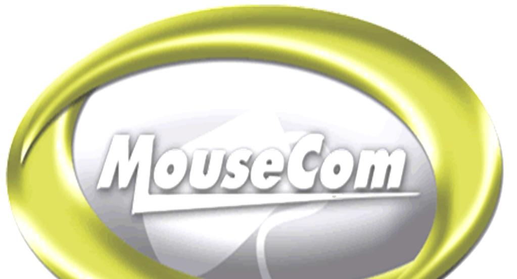 1 A marca Mouse Com, foi idealizada e fundada em agosto de 2000.