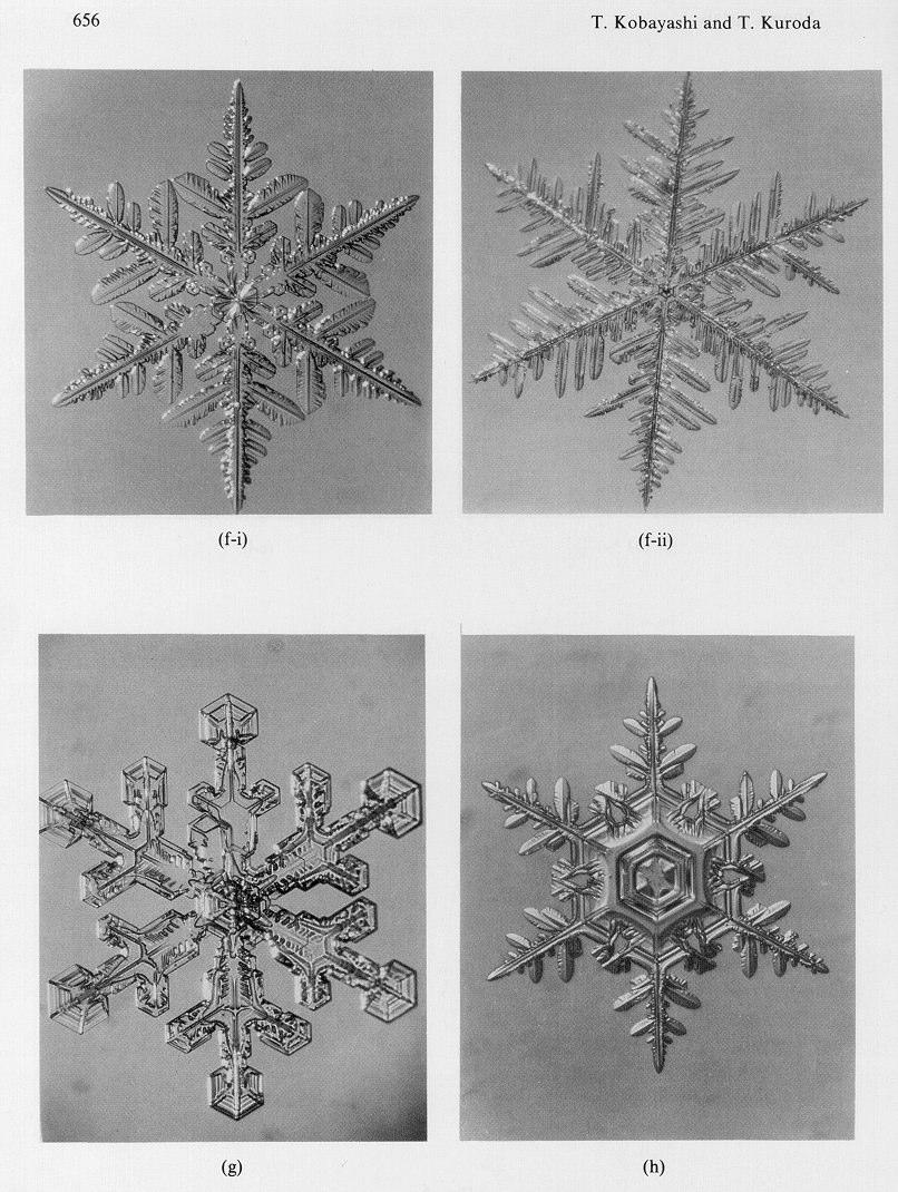 2 Fotografias de cristais de neve: prisma ou coluna; esqueleto de prisma; agulha; placa; setor; dendrito; dendrito com placas nas