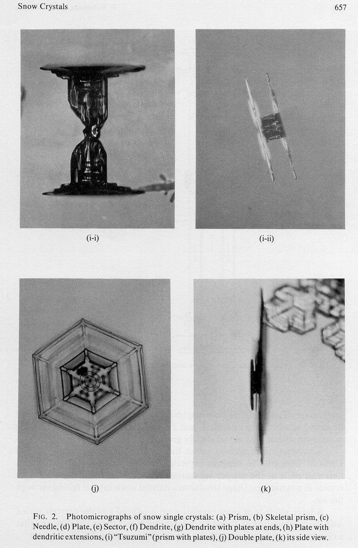 3 Representação esquemática de um cristal de gelo, indicando os eixos longitudinais (c) e transversais (a).