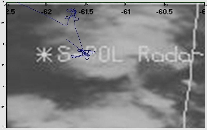 2 - Trajetória do vôo do avião CITATION sobre as regiões de pastagem (a) e floresta (b), sobreposta sobre imagens do satélite GOES-8.