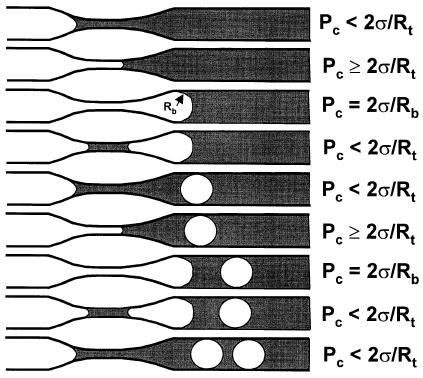 Capítulo 2 Revisão Bibliográfica 22 Rossen (2009) adiciona informações importantes à teoria da formação de quebra de gotas em capilares com garganta para experimentos com interfaces gás-líquido.