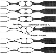 Capítulo 2 Revisão Bibliográfica 23 lamela, pressionado por haver um escoamento forçado, escoa em direção a parede do capilar pela lateral das bolhas (direção radial), e em direção a garganta